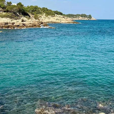 Alguer Hotel 2*